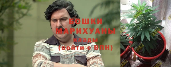 a pvp Каменногорск