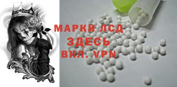 a pvp Каменногорск