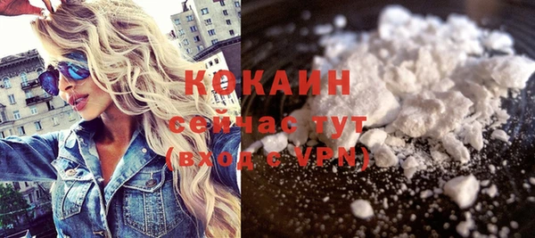 a pvp Каменногорск