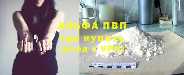 твердый Инсар